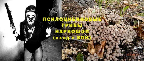 гашик Алексеевка