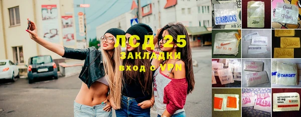 гашик Алексеевка