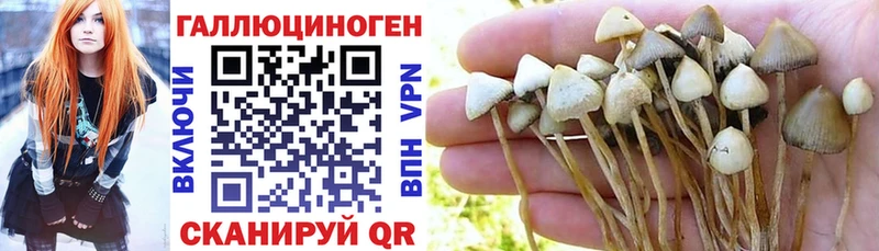 KRAKEN вход  Луга  Псилоцибиновые грибы Magic Shrooms  хочу наркоту 