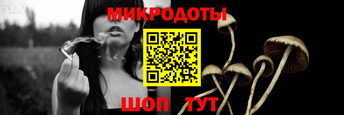 Галлюциногенные грибы мухоморы  Псилоцибиновые грибы Psilocybe  Луга  хочу наркоту  Вход с VPN 